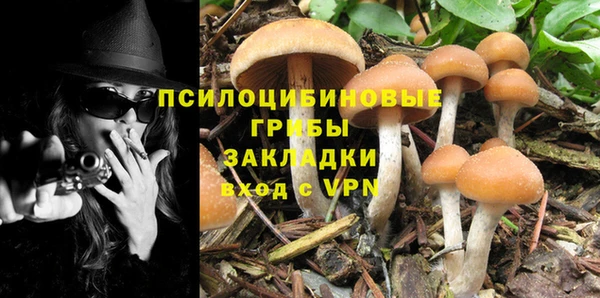 спиды Балахна