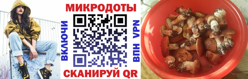 наркота Качканар Галлюциногенные грибы Psilocybe