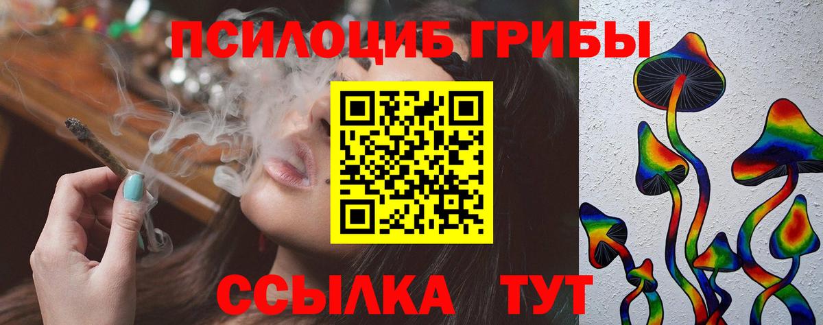 сколько стоит  Галлюциногенные грибы Psilocybe  Вход с VPN  Качканар 